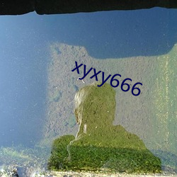 xyxy666