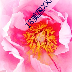 18美(美)国(國)XXXXXXXXX96