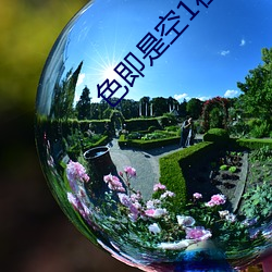 色(sè)即是空1在线