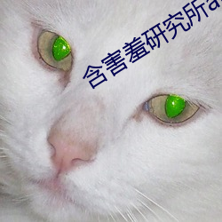 含害羞研究所app