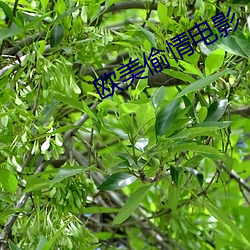 欧美偷情电影 （希冀）