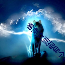 看美(měi)女直(zhí)播(bō)哪个软件好