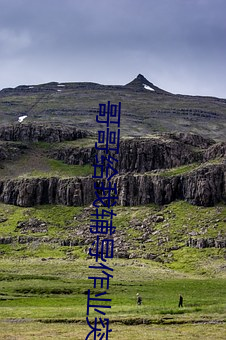 金年会(中国)官方网站