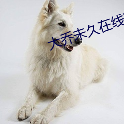 大喬未久在線觀看