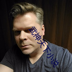 武(wǔ)神天(tiān)下(xià)小说