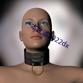 一本之道2022dx