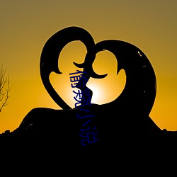 偷窺小說