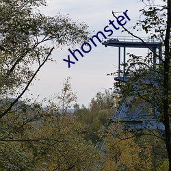 xhomster