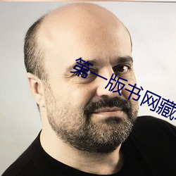 第(第)一版(版)书网藏经阁