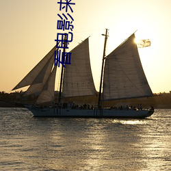 看电影来5566