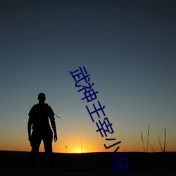 武神主宰小(小)说(說)