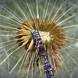 亚(亞)瑟(瑟)国产(産)精品(品)