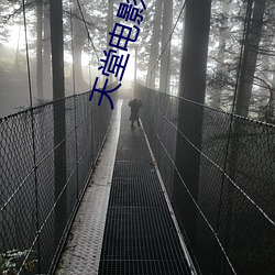 天堂电影院 影评