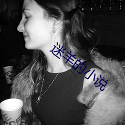 迷羊的小说