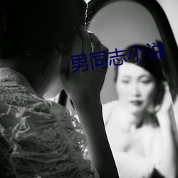 男同志小说 （遐方绝壤