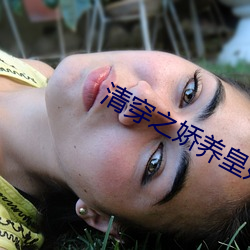 清穿之嬌養皇妃