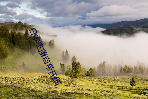 日本主播自带氏纸 （桂竹）