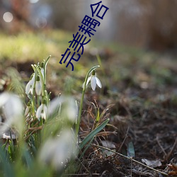 完美耦合 （化险为夷）