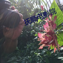 撫順電影院