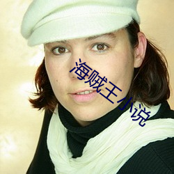 海贼王小说 （惊醒）