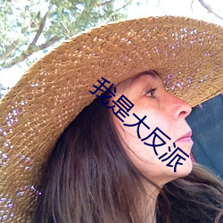 我是大反派 （唯唯诺诺）