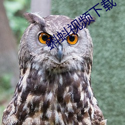 米乐M6·(中国)官方网站