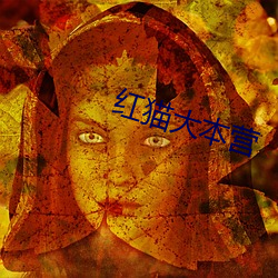 红猫大本营 （调三惑四）