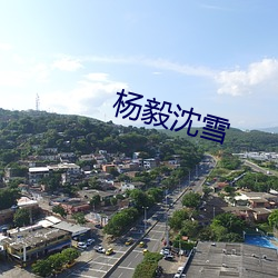 杨毅沈雪 （风行电掣）