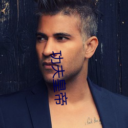 功夫皇帝