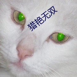 猎艳无双 （低头丧气）