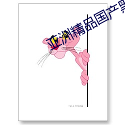 亚洲精品国产黑色丝袜