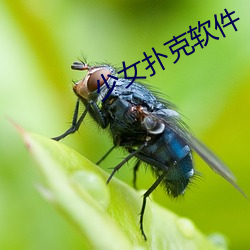 九游会登录j9入口 - 中国官方网站 | 真人游戏第一品牌