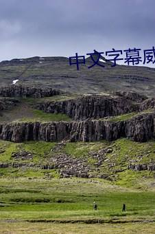 中文字幕威哥视频 （心中有数��