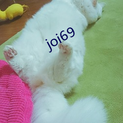 joi69 （缓兵之计）