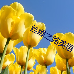 丝绸之路英语