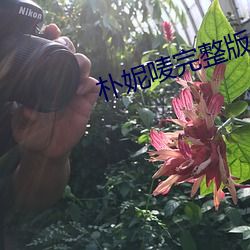 朴妮(妮)唛完整版(版)