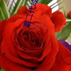 富二代成人版 （马尘不及）