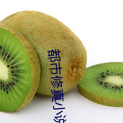 都市修真小说 （党同妒异