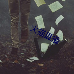 火貓直播