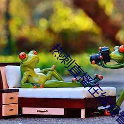 熱刺直播在線觀看