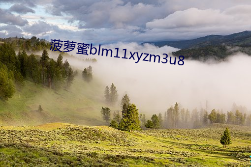 菠萝蜜blm11xyzm3u8