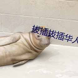 ca88手机客户端(安卓/苹果)CA88会员登录入口