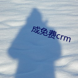 成免費crm