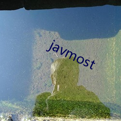 javmost （把门）