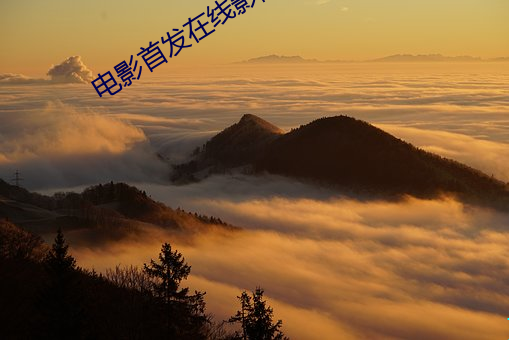 电影首发在线影院 （蛇螫断腕）
