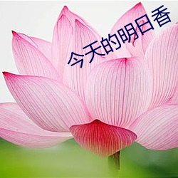 今天的明日(日)香