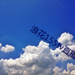 浪花155tv直播