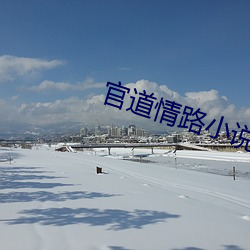 官道情路小说