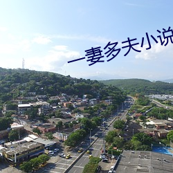 一妻多夫小说