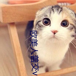 欧(歐)美人善交(交)vidsexxxhd